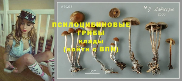 прущая мука Пересвет