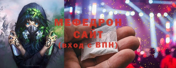 гидра Няндома