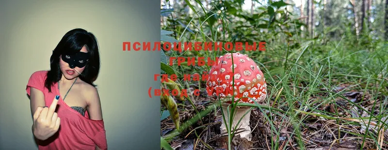 Галлюциногенные грибы MAGIC MUSHROOMS  Катайск 